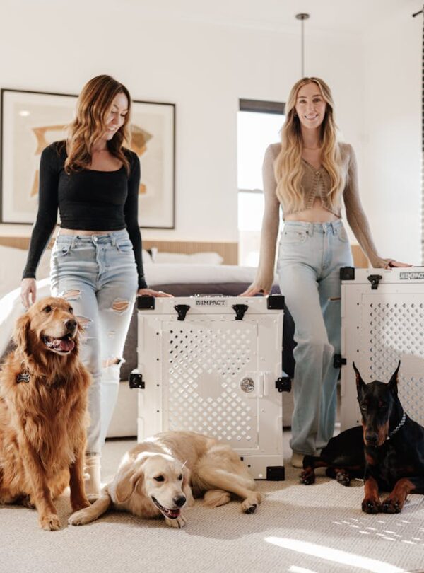 pexels-impact-dog-crates-1789722873-30268671
