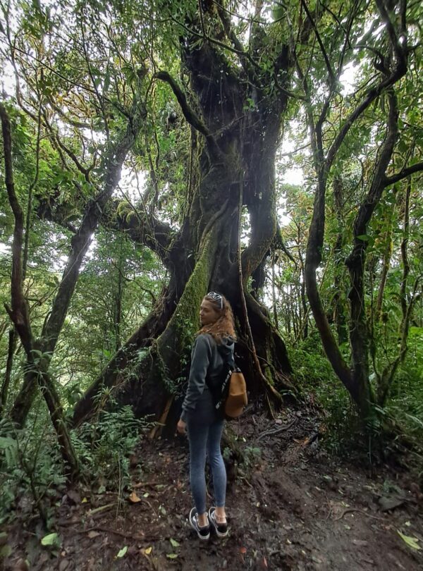 WhatsApp Image 2025-10-06 at 8.16.42 PM